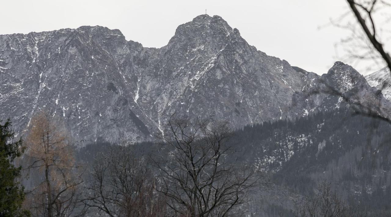 Twoja Chata Apartamenty Pod Niebem Zarezerwuj Na Podhalami Pl กอสเชียลิสกอ ภายนอก รูปภาพ